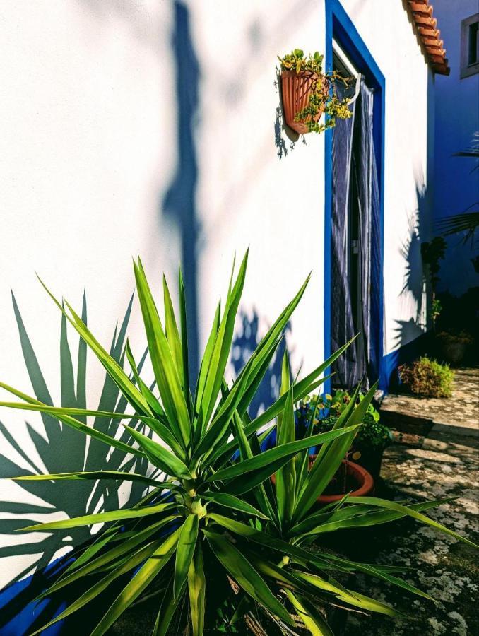 Cozy 3 Bedroom Home - Close To Beach Lourinhã Dış mekan fotoğraf